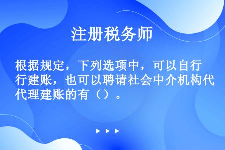 根据规定，下列选项中，可以自行建账，也可以聘请社会中介机构代理建账的有（）。