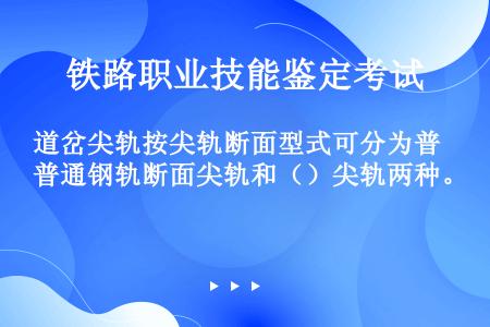 道岔尖轨按尖轨断面型式可分为普通钢轨断面尖轨和（）尖轨两种。