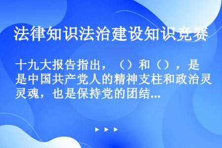 十九大报告指出，（）和（），是中国共产党人的精神支柱和政治灵魂，也是保持党的团结统一的思想基础。