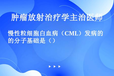 慢性粒细胞白血病（CML）发病的分子基础是（）