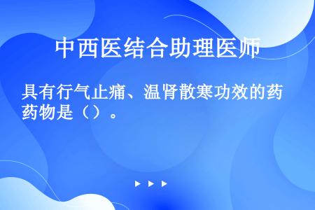 具有行气止痛、温肾散寒功效的药物是（）。