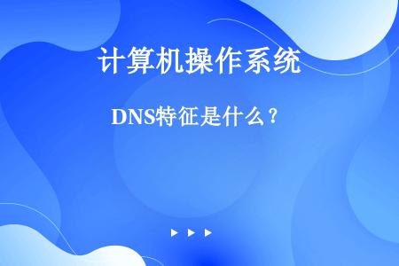DNS特征是什么？