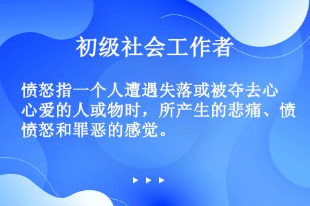 愤怒指一个人遭遇失落或被夺去心爱的人或物时，所产生的悲痛、愤怒和罪恶的感觉。