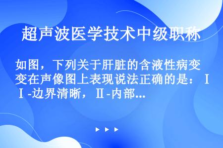 如图，下列关于肝脏的含液性病变在声像图上表现说法正确的是：Ⅰ-边界清晰，Ⅱ-内部呈无回声或有细弱光点...