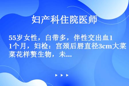 55岁女性，白带多，伴性交出血1个月，妇检：宫颈后唇直径3cm大菜花样赘生物，未累及阴道及宫旁组织，...