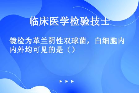 镜检为革兰阴性双球菌，白细胞内外均可见的是（）