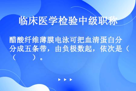 醋酸纤维薄膜电泳可把血清蛋白分成五条带，由负极数起，依次是（　　）。