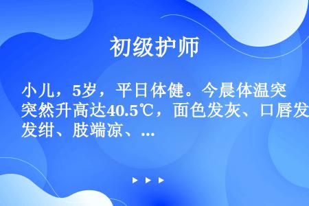 小儿，5岁，平日体健。今晨体温突然升高达40.5℃，面色发灰、口唇发绀、肢端凉、脉搏细数，经急诊医生...