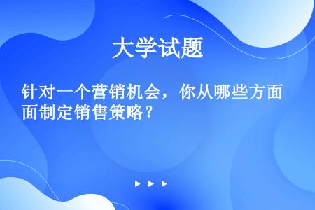 针对一个营销机会，你从哪些方面制定销售策略？