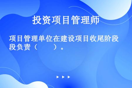 项目管理单位在建设项目收尾阶段负责（　　）。