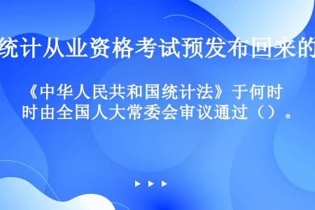 《中华人民共和国统计法》于何时由全国人大常委会审议通过（）。