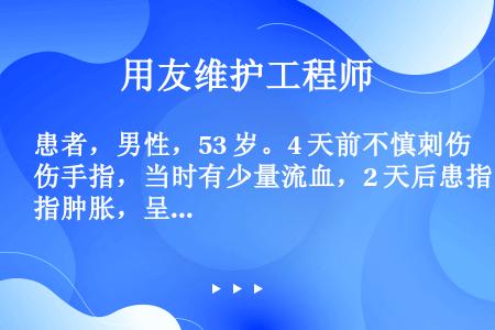 患者，男性，53 岁。4 天前不慎刺伤手指，当时有少量流血，2 天后患指肿胀，呈搏动样跳痛，患指下垂...