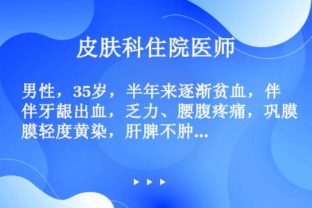 男性，35岁，半年来逐渐贫血，伴牙龈出血，乏力、腰腹疼痛，巩膜轻度黄染，肝脾不肿大，检验：HGB82...