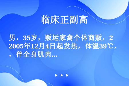 男，35岁，贩运家禽个体商贩，2005年12月4日起发热，体温39℃，伴全身肌肉酸痛、乏力；3天后出...