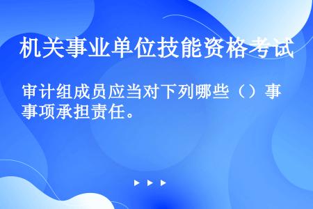 审计组成员应当对下列哪些（）事项承担责任。