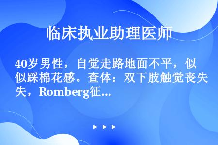 40岁男性，自觉走路地面不平，似踩棉花感。查体：双下肢触觉丧失，Romberg征睁眼正常，闭目站立不...