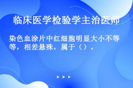 染色血涂片中红细胞明显大小不等，相差悬殊，属于（）。