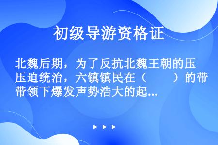 北魏后期，为了反抗北魏王朝的压迫统治，六镇镇民在（　　）的带领下爆发声势浩大的起义。