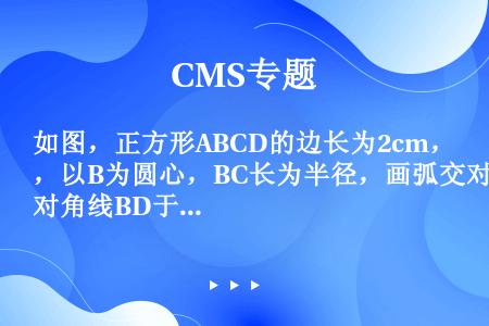 如图，正方形ABCD的边长为2cm，以B为圆心，BC长为半径，画弧交对角线BD于E点，连结CE，P是...