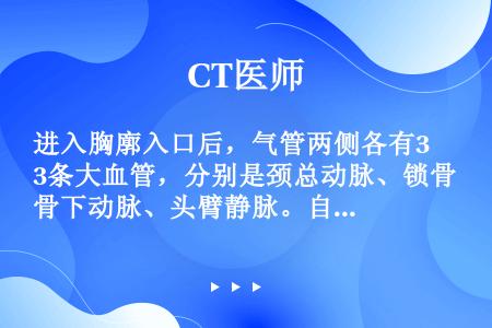 进入胸廓入口后，气管两侧各有3条大血管，分别是颈总动脉、锁骨下动脉、头臂静脉。自前向后正常解剖关系是...