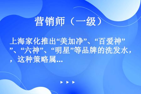 上海家化推出“美加净”、“百爱神”、“六神”、“明星”等品牌的洗发水，这种策略属于（　　）。