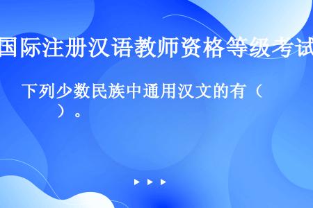 下列少数民族中通用汉文的有（　　）。