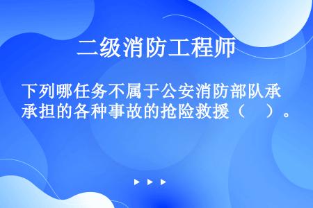 下列哪任务不属于公安消防部队承担的各种事故的抢险救援（　）。