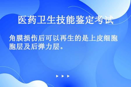 角膜损伤后可以再生的是上皮细胞层及后弹力层。