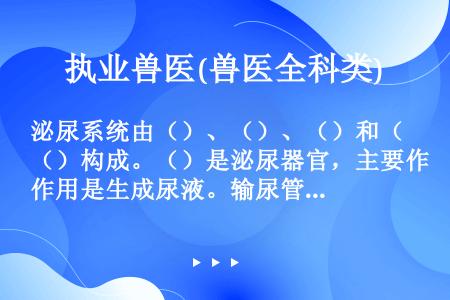 泌尿系统由（）、（）、（）和（）构成。（）是泌尿器官，主要作用是生成尿液。输尿管、膀胱、和尿道分别是...