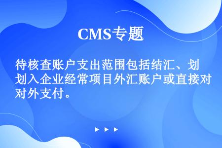 待核查账户支出范围包括结汇、划入企业经常项目外汇账户或直接对外支付。