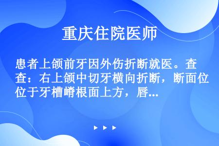 患者上颌前牙因外伤折断就医。查：右上颌中切牙横向折断，断面位于牙槽嵴根面上方，唇侧龈下2mm，根稳固...