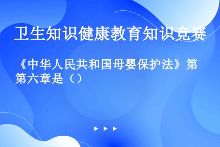 《中华人民共和国母婴保护法》第六章是（）