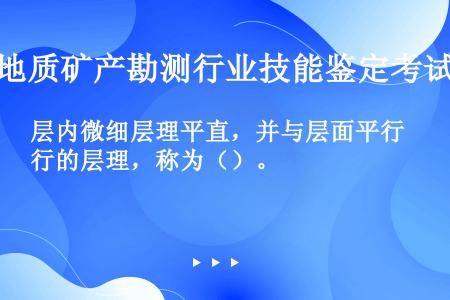 层内微细层理平直，并与层面平行的层理，称为（）。