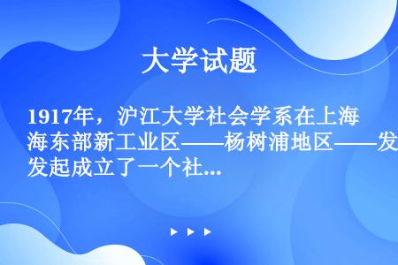 1917年，沪江大学社会学系在上海东部新工业区——杨树浦地区——发起成立了一个社区服务中心，即（）。