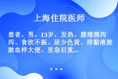 患者，男，13岁，发热、腹痛腹泻、食欲不振、尿少色黄、排黏液脓血样大便、里急后重、精神疲倦3天，体检...