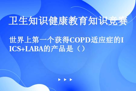世界上第一个获得COPD适应症的ICS+LABA的产品是（）