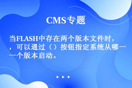 当FLASH中存在两个版本文件时，可以通过（）按钮指定系统从哪一个版本启动。