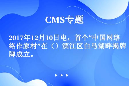 2017年12月10日电，首个“中国网络作家村”在（）滨江区白马湖畔揭牌成立。