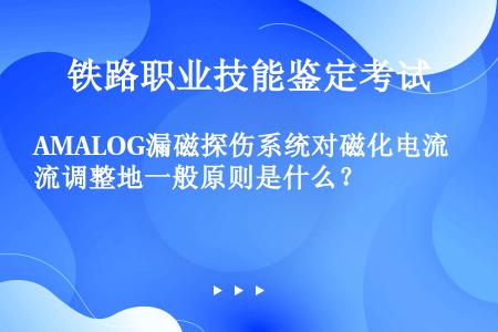 AMALOG漏磁探伤系统对磁化电流调整地一般原则是什么？