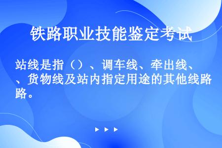 站线是指（）、调车线、牵出线、货物线及站内指定用途的其他线路。