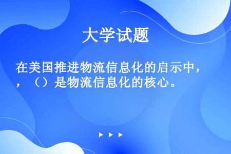 在美国推进物流信息化的启示中，（）是物流信息化的核心。