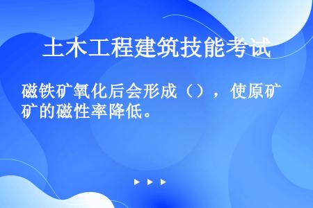 磁铁矿氧化后会形成（），使原矿的磁性率降低。