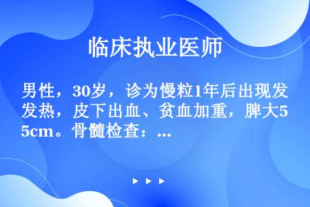 男性，30岁，诊为慢粒1年后出现发热，皮下出血、贫血加重，脾大5cm。骨髓检查：原淋占90%，过氧化...