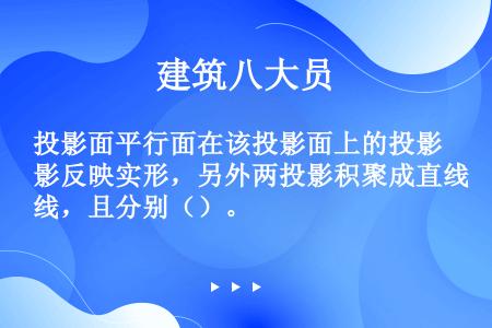 投影面平行面在该投影面上的投影反映实形，另外两投影积聚成直线，且分别（）。