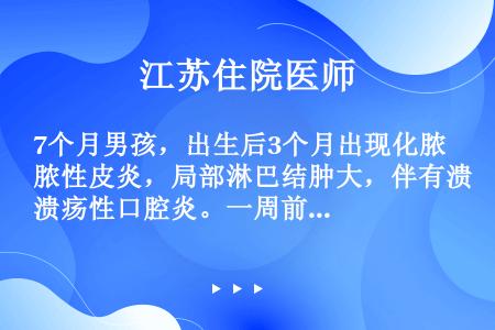 7个月男孩，出生后3个月出现化脓性皮炎，局部淋巴结肿大，伴有溃疡性口腔炎。一周前咳嗽，气促，发热40...