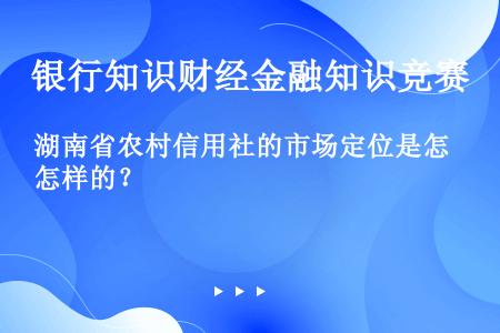 湖南省农村信用社的市场定位是怎样的？
