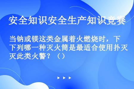 当钠或镁这类金属着火燃烧时，下列哪一种灭火筒是最适合使用扑灭此类火警？（）