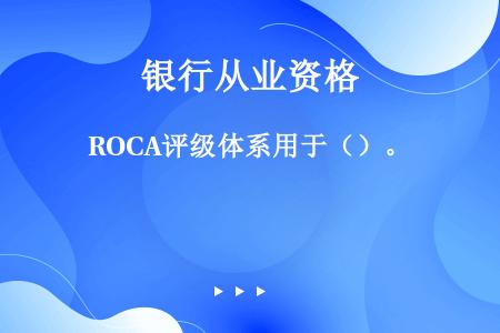 ROCA评级体系用于（）。