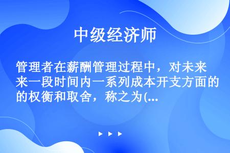 管理者在薪酬管理过程中，对未来一段时间内一系列成本开支方面的权衡和取舍，称之为()