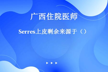 Serres上皮剩余来源于（）